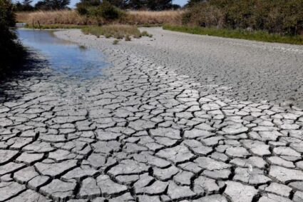 Canicule au Mexique : le bilan s’alourdit à 155 morts