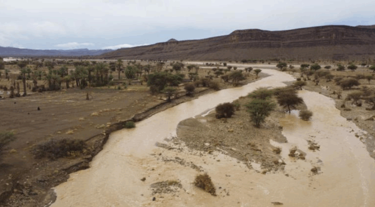 Capture d’écran 2025-09-12 085418