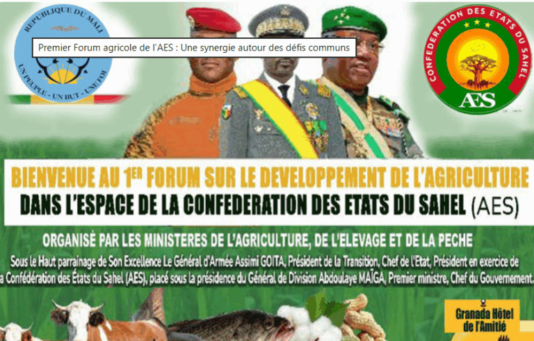 Capture d’écran 2025-09-19 140906