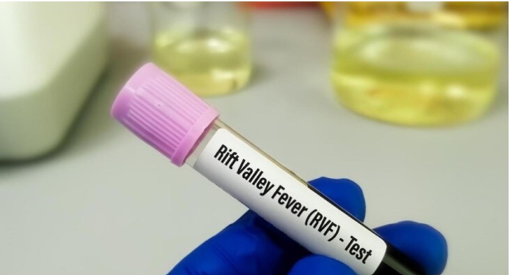 Capture d’écran 2025-09-29 084328