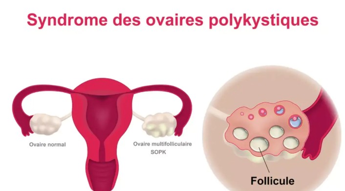 Capture d’écran 2025-09-29 192324