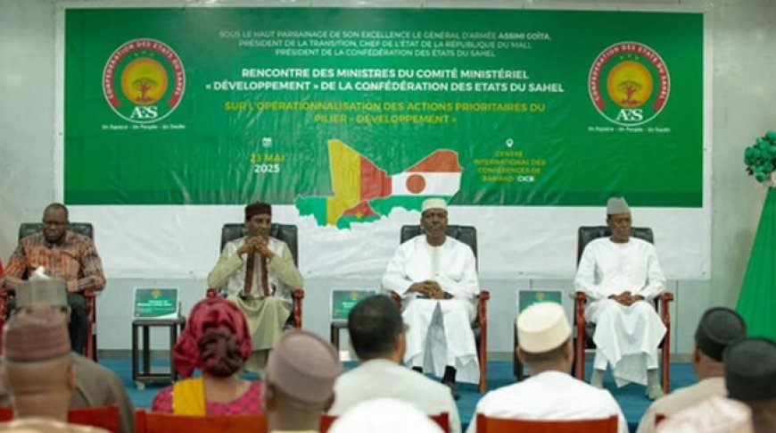 image_870x_68c7d66b14714