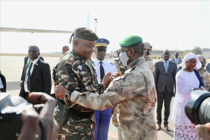 image_870x_68dbc497ac465