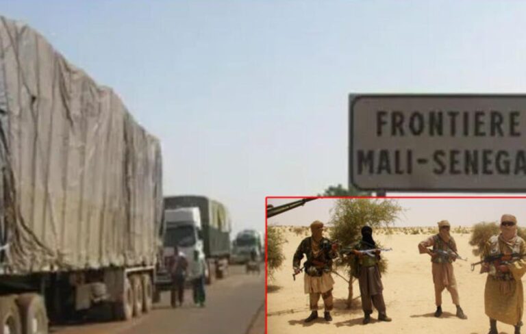 thumb_1260x800_68beaec39e1c2_0ZDFIXcy5P