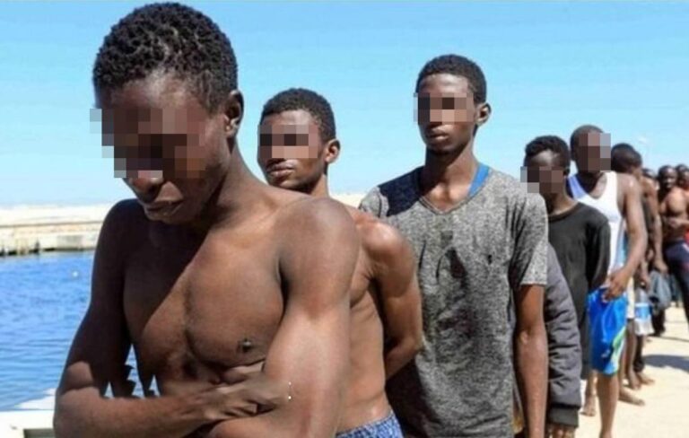 thumb_1260x800_68c268d8ea1a5_slzHG63klV