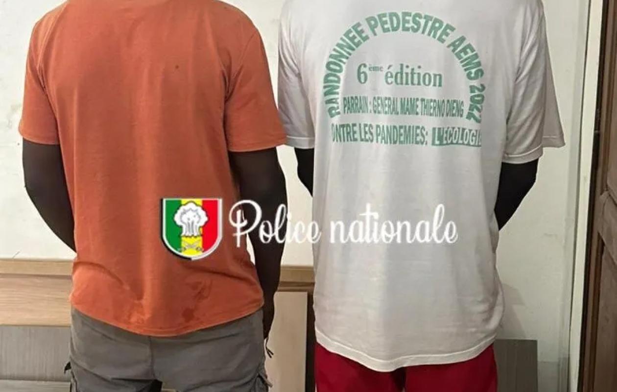 thumb_1260x800_68c2cddcd4fb4_QlBz7UuPKd