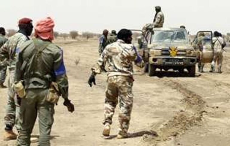 thumb_1260x800_68c2e98ee98e6_aeQhraUGAC