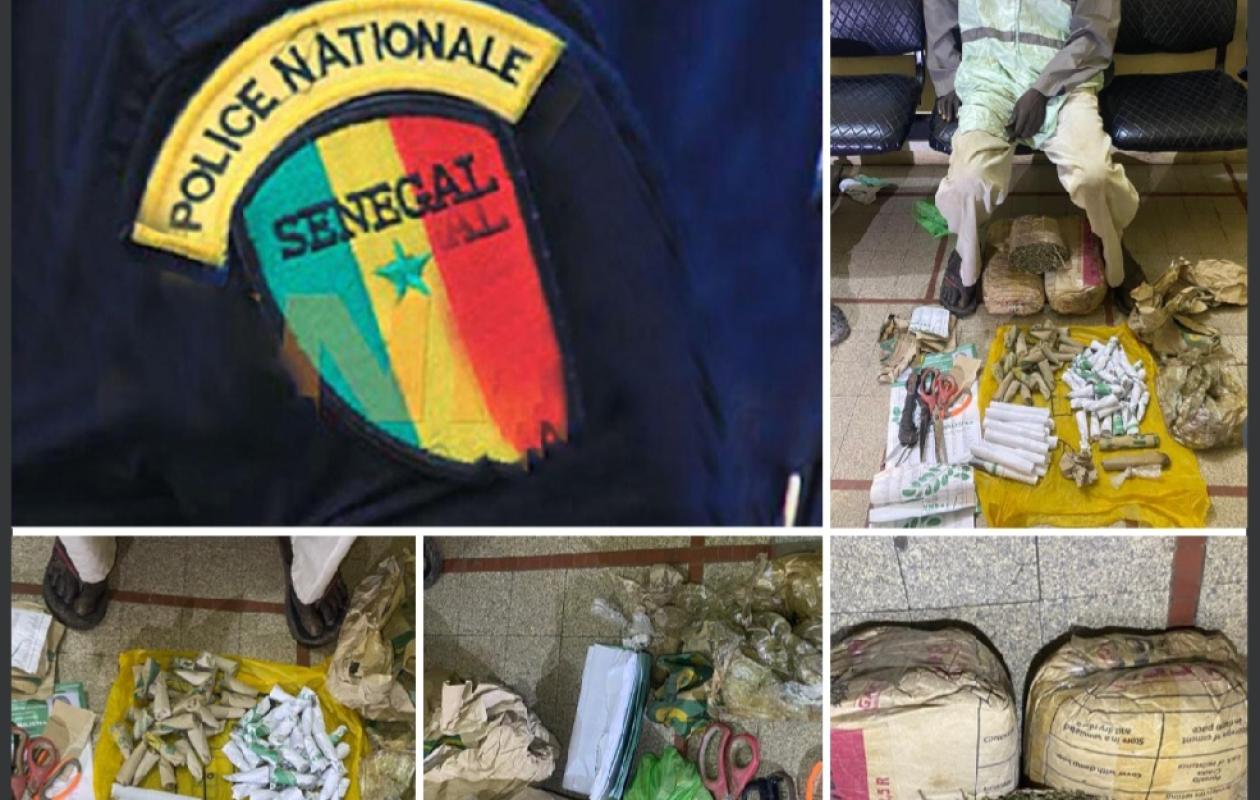 thumb_1260x800_68c89a461363f_dHDpOwHqSF