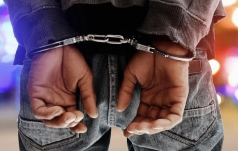 thumb_1260x800_68c8a14ac1b32_omDVjLtkEY