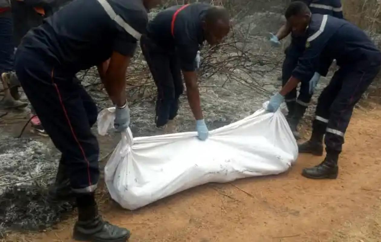 thumb_1260x800_68ce5b8037e92_gWsdgoDK3P