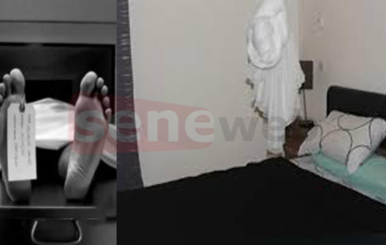 thumb_1260x800_68ce6950c1bcc_FdgzP0Wx96