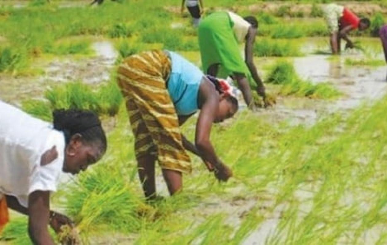 thumb_1260x800_68d7017ccd420_vGSYvKpep5