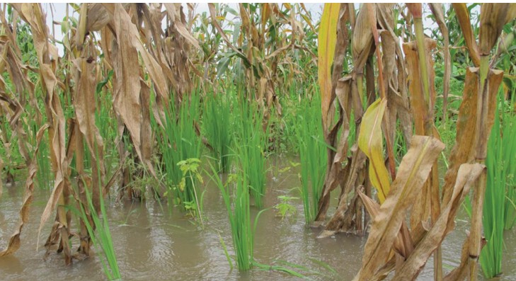 Capture d’écran 2025-10-01 034151