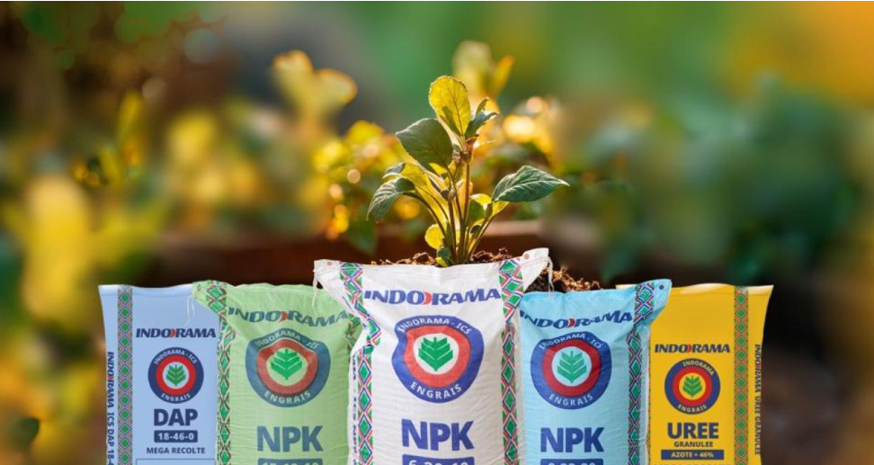 Capture d’écran 2025-10-01 133630