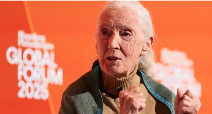 Capture d’écran 2025-10-02 014222