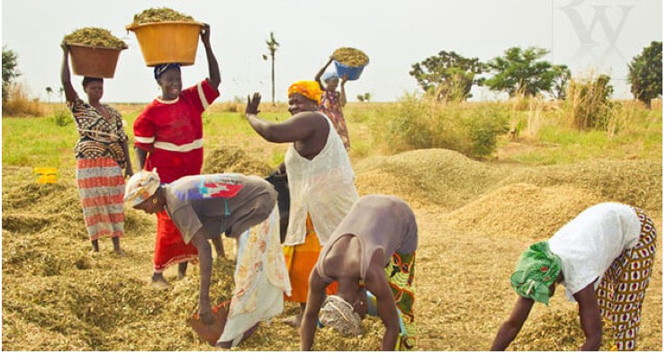 Capture d’écran 2025-10-03 150218