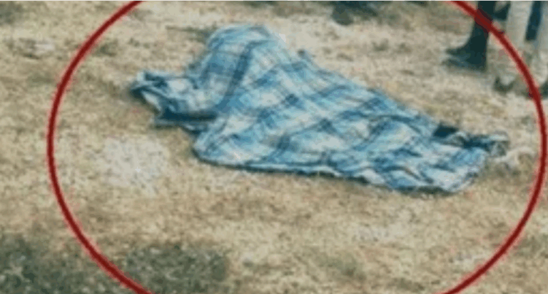 Capture d’écran 2025-10-07 092812