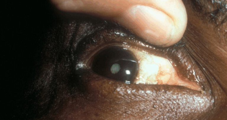 Capture d’écran 2025-10-10 143337