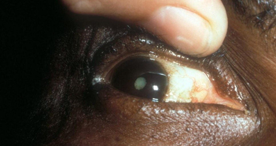 Capture d’écran 2025-10-10 143337