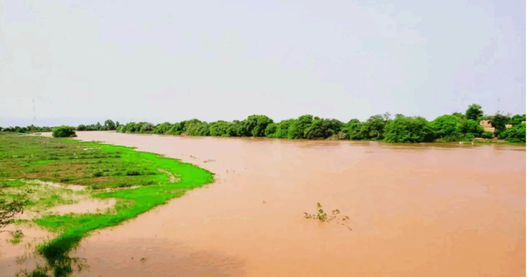 Capture d’écran 2025-10-13 110429