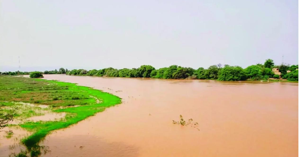 Capture d’écran 2025-10-13 110429