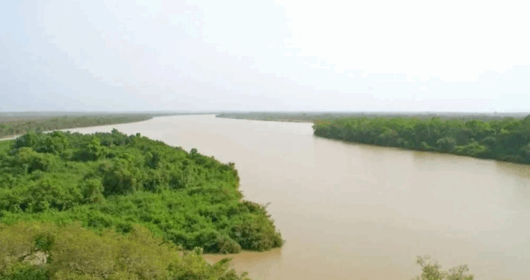 Capture d’écran 2025-10-15 113623