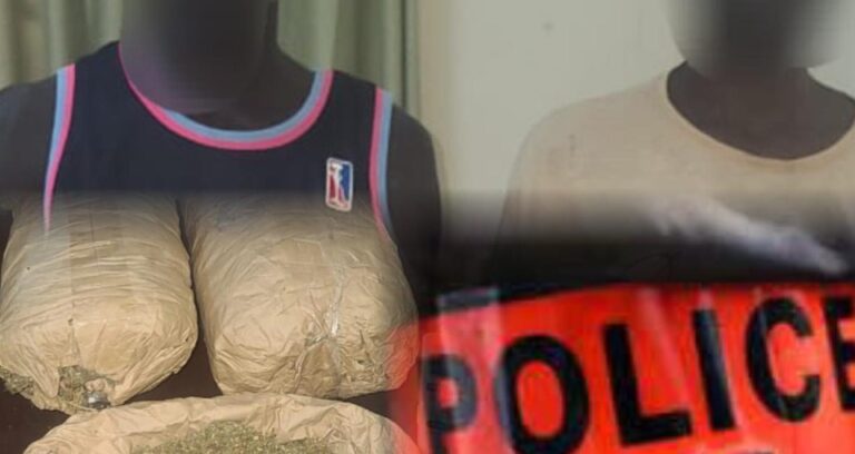 Capture d’écran 2025-10-21 092908