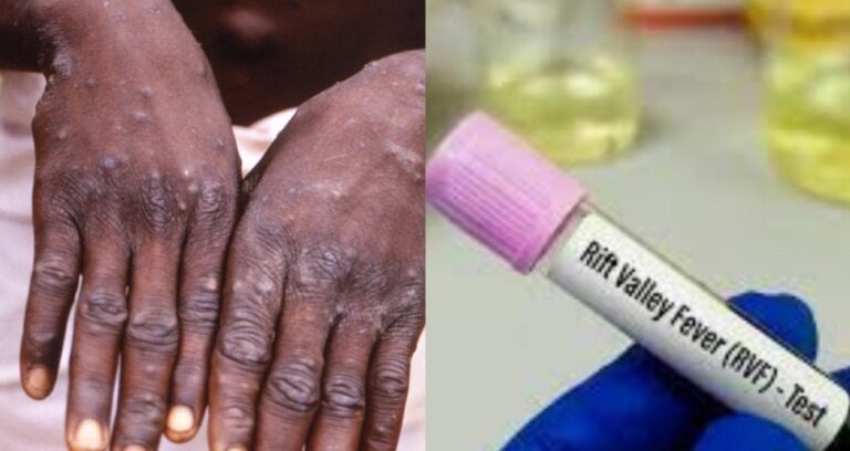 Capture d’écran 2025-10-22 155554