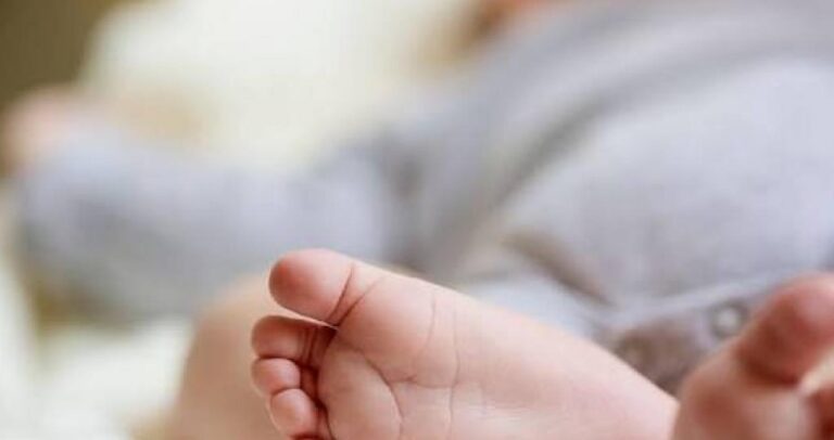 Capture d’écran 2025-10-23 090826