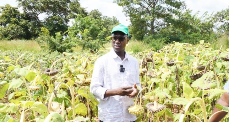 Capture d’écran 2025-10-27 052700