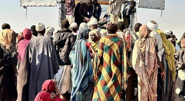 Capture d’écran 2025-11-03 124129