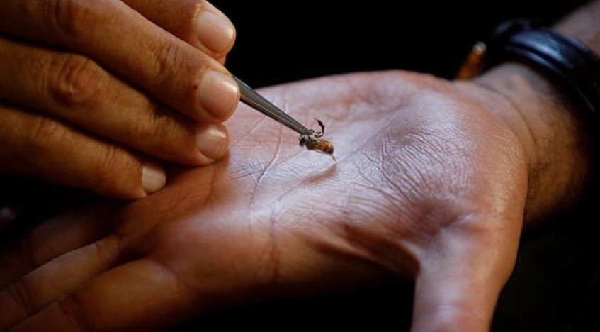 Capture d’écran 2025-11-05 160404