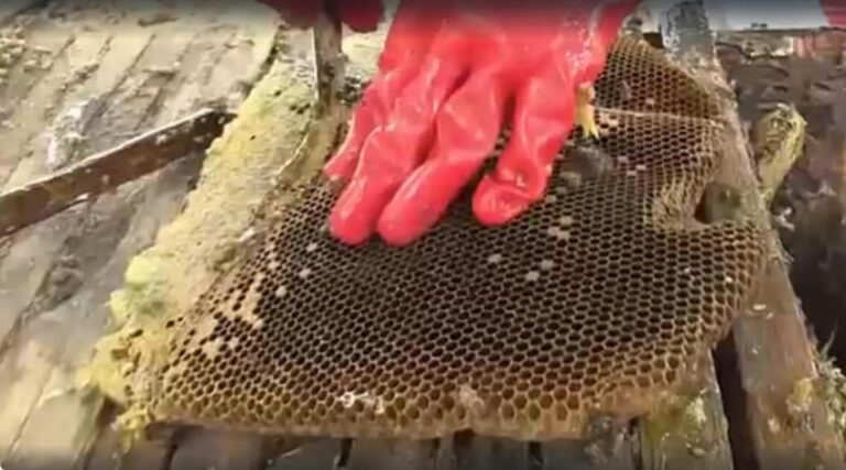 Capture d’écran 2025-11-12 135633