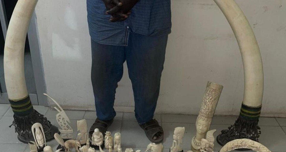 Capture d’écran 2025-11-17 144300