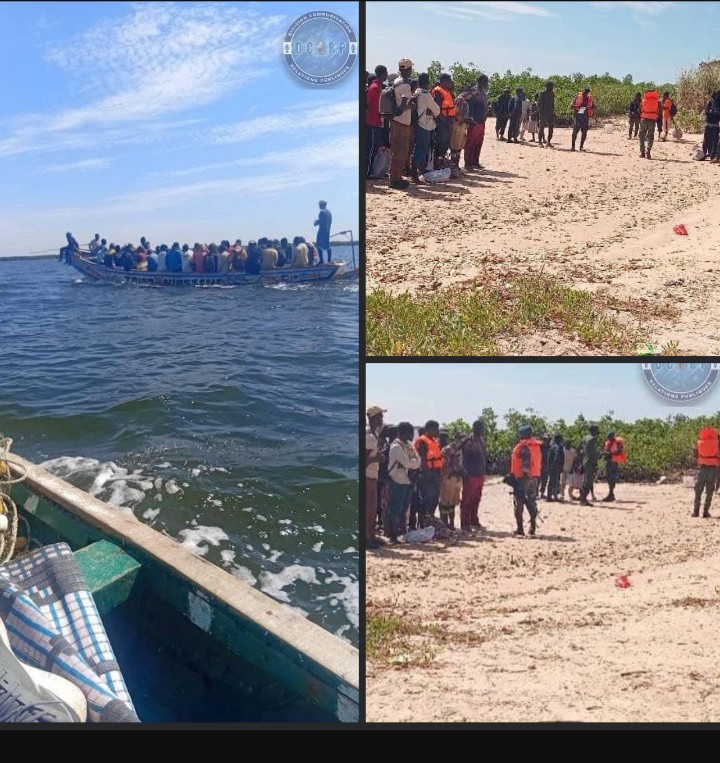 Screenshot_20251128-211912~2