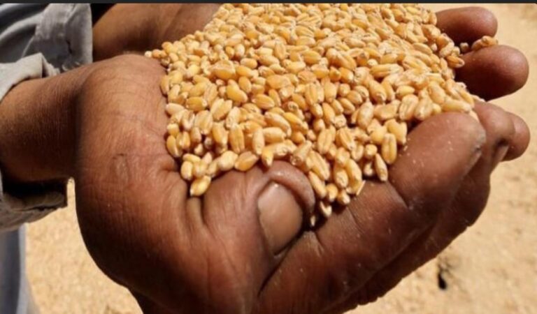 Capture d’écran 2025-12-07 090202