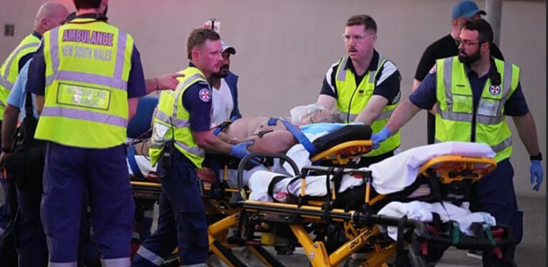 Capture d’écran 2025-12-14 122953