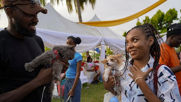 Capture d’écran 2025-12-18 085135