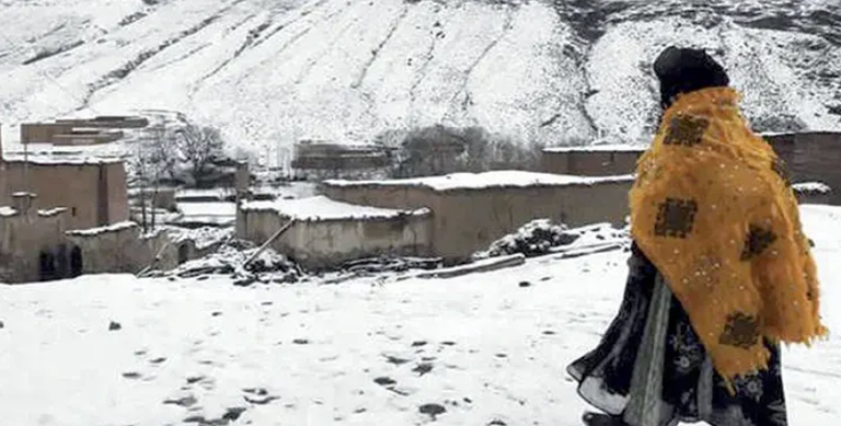 Capture d’écran 2025-12-23 082452