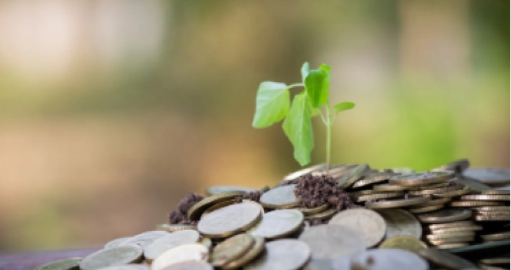 Capture d’écran 2025-12-28 185347