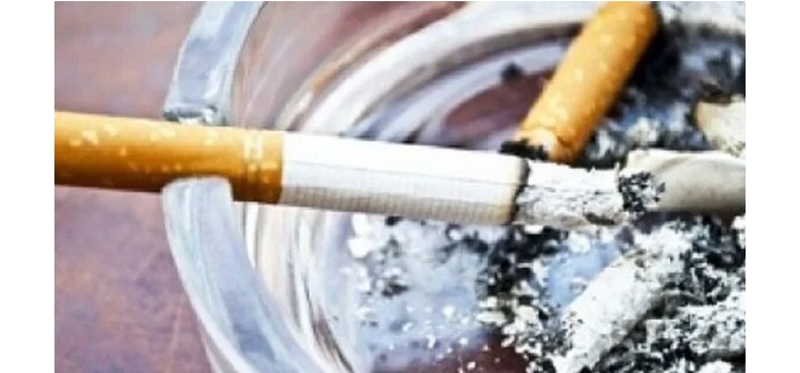 Screenshot_20251231_094648_Lite