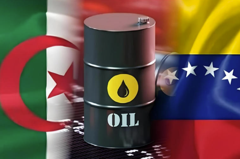 Capture d’écran 2026-01-07 153941