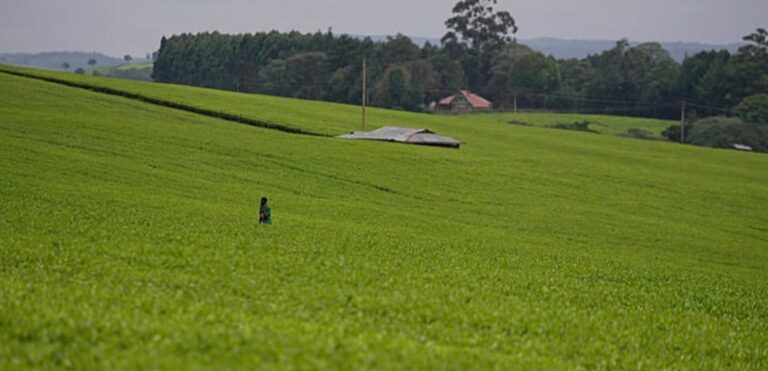 Capture d’écran 2026-01-11 201622