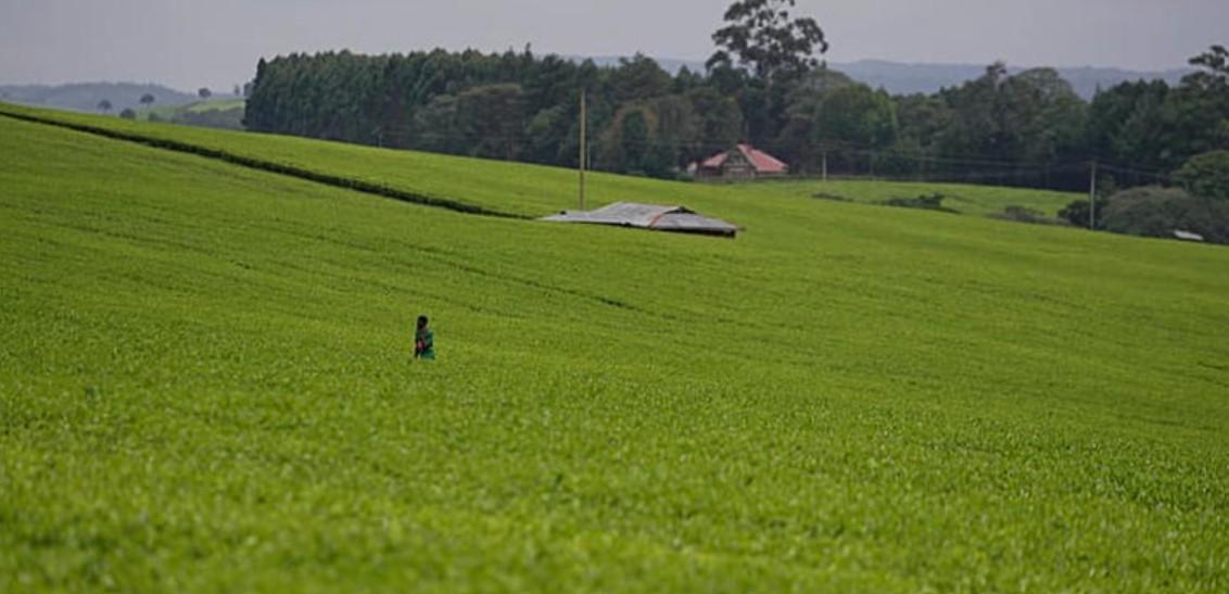 Capture d’écran 2026-01-11 201622
