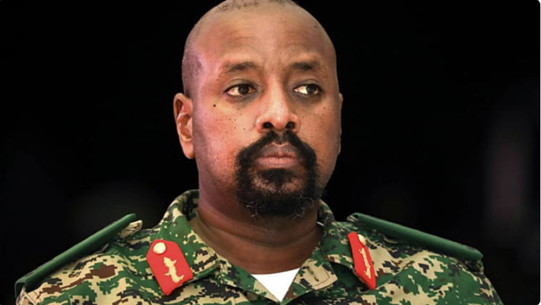 Capture d’écran 2026-01-12 201845