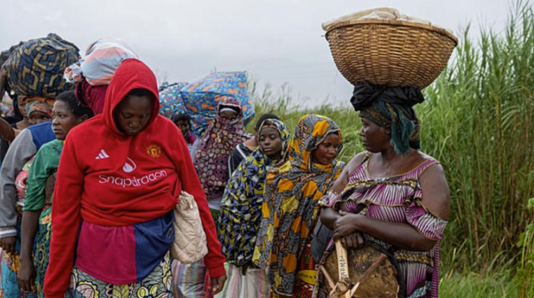 Capture d’écran 2026-01-12 205235