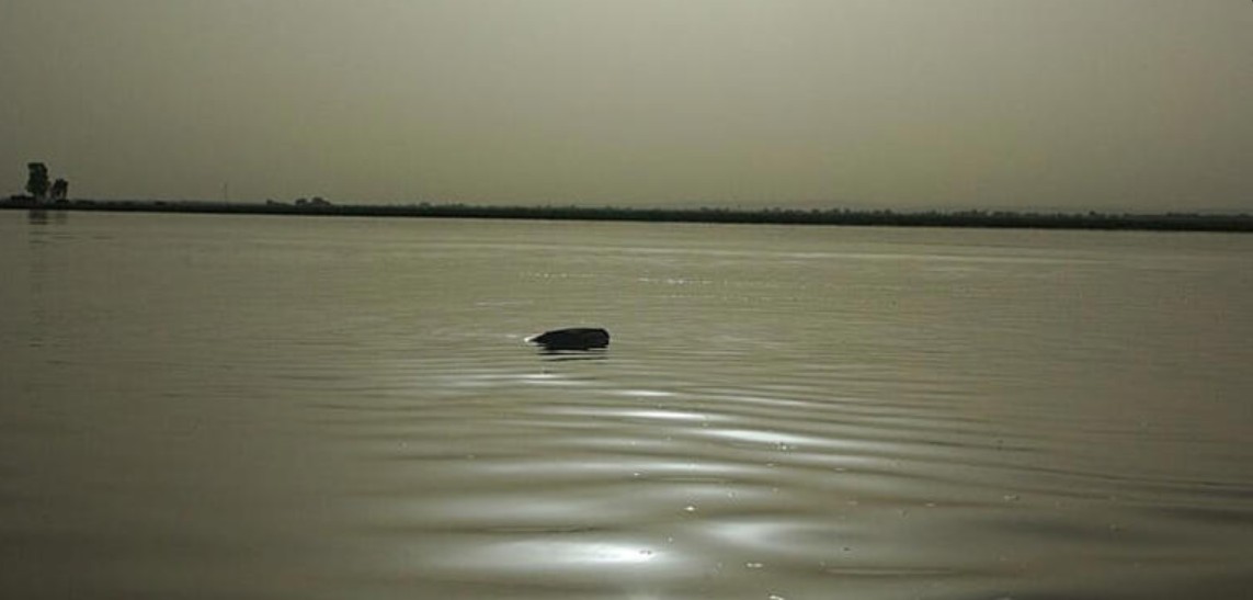 Capture d’écran 2026-01-13 191131