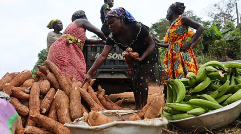 Capture d’écran 2026-02-04 164306