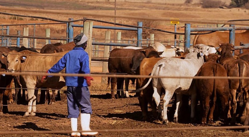 Capture d’écran 2026-02-10 083204
