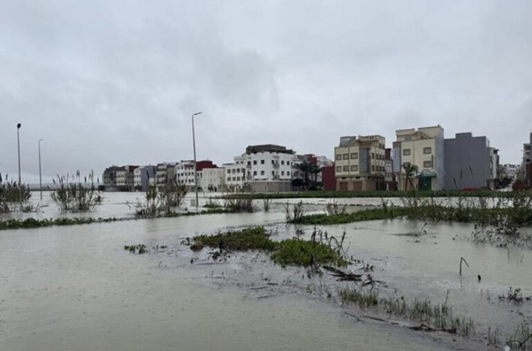 Capture d’écran 2026-02-10 094215